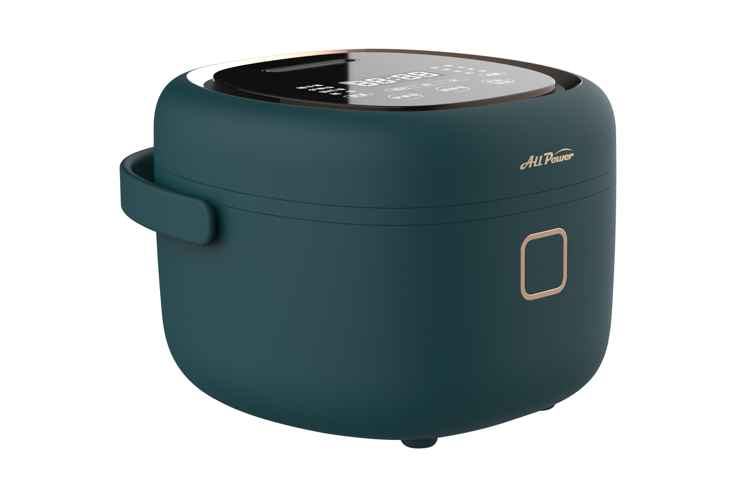 YDF-30FH02 Cuiseur à Riz Multifonction 3L, 10 en 1, Cuisson Rapide/Lente, Vapeur, Soupe